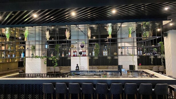 Eine moderne Bar mit einer langen Theke, verschiedenen Sitzgelegenheiten sowie Flaschen und Pflanzen auf Regalen.