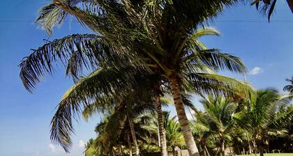 Oceanic Bay Hotel & Resort