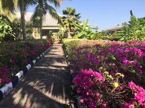 Jardin