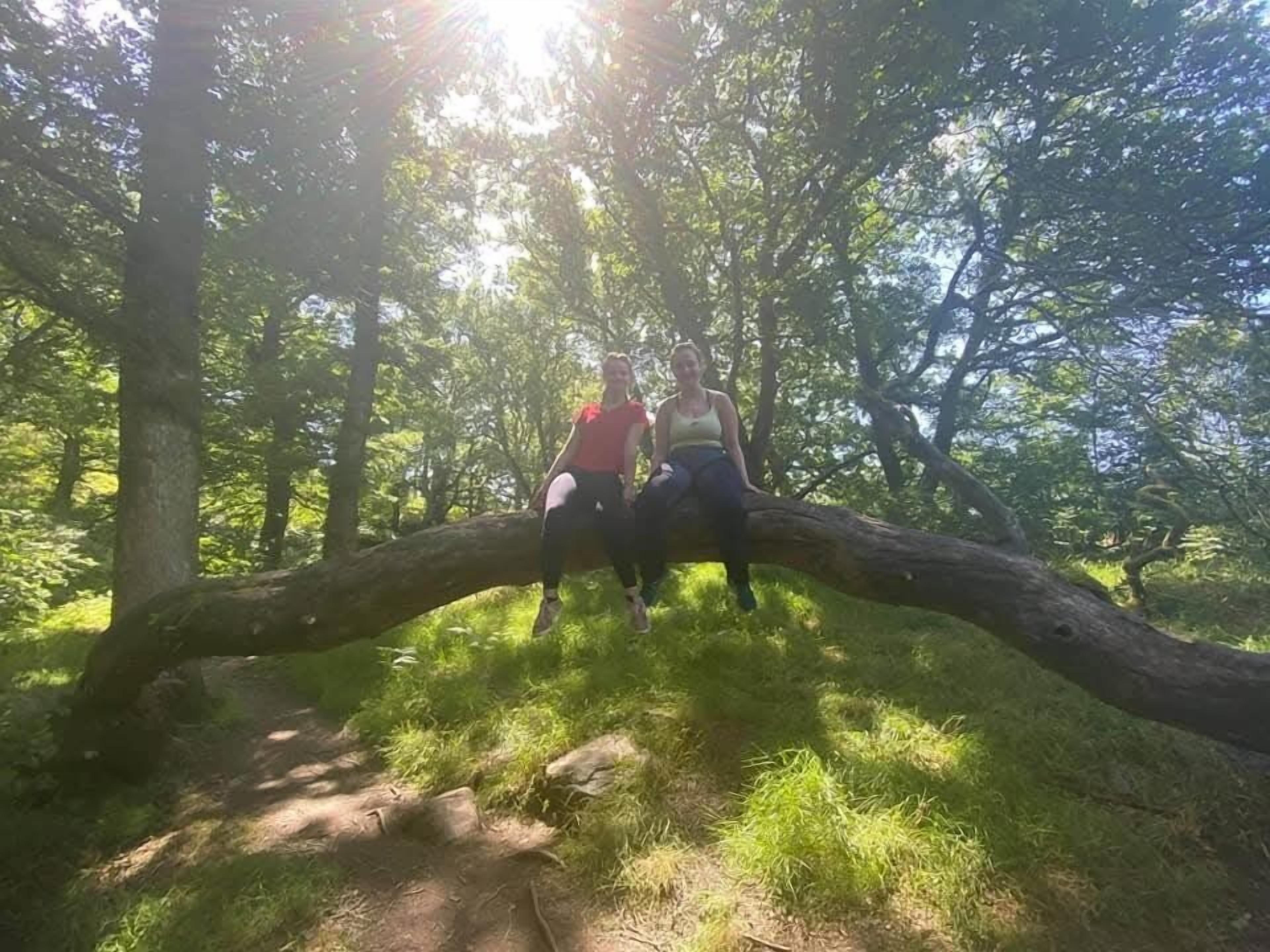 Two people sitting on a fallen tree branch in a forest.
