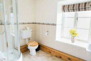 Een badkamer met toilet, douche en een raam met gordijn.