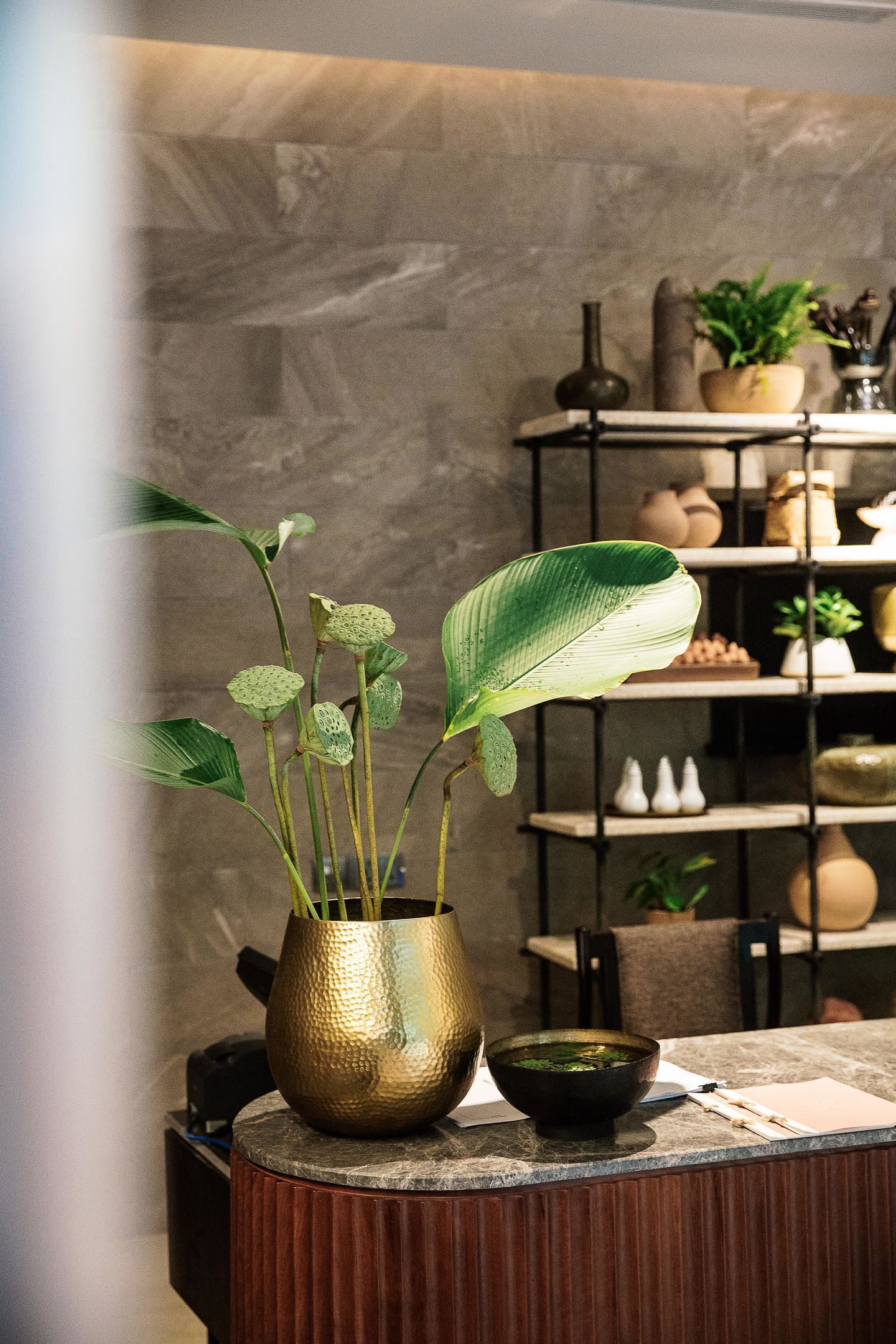 Foto - Treeline Urban Resort