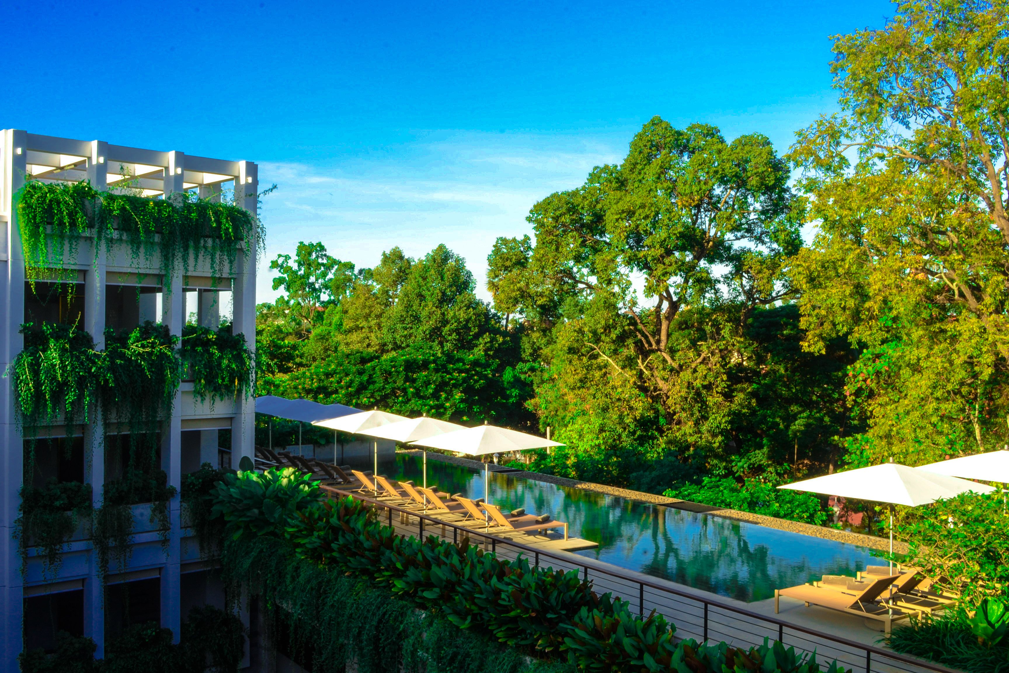 Un área de piscina con sillones de descanso y sombrillas, rodeada de exuberante vegetación y árboles.