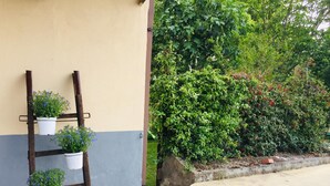A wooden ladder with potted plants against a building wall. - B&B San Lorenzo (Benevento)