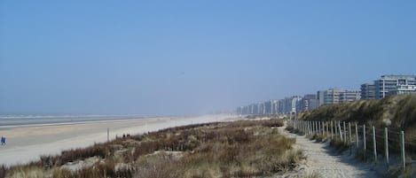 Vlak bij het strand