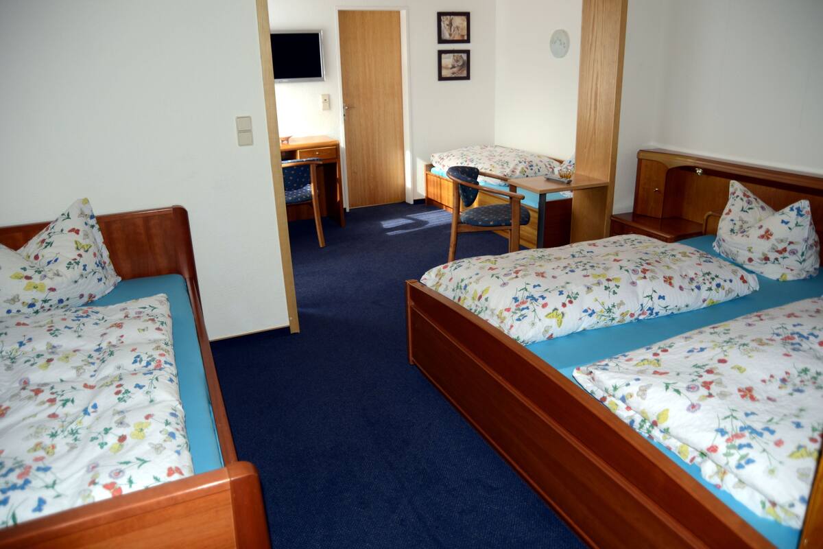 Une chambre avec deux lits simples, un bureau, une chaise et un téléviseur.