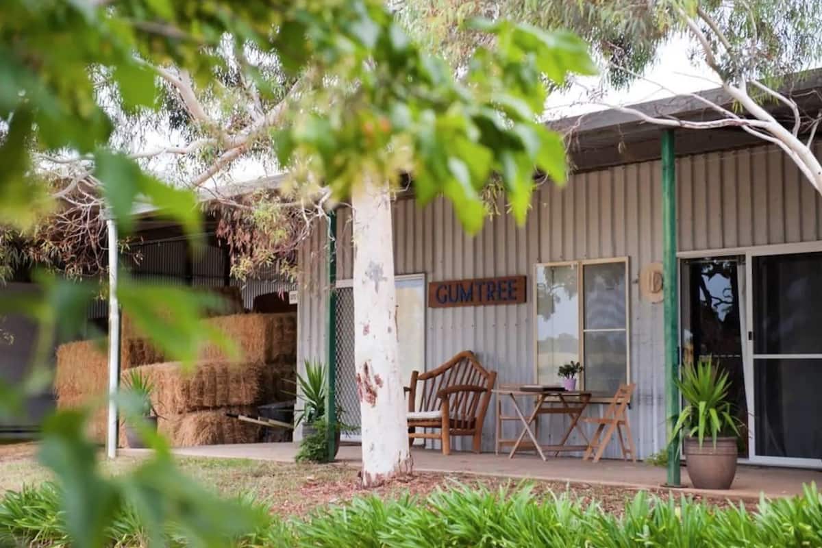 A rustic building with a sign reading "GUMTREE," featuring a covered outdoor seating area with chairs and a table, surrounded by greenery and hay bales.