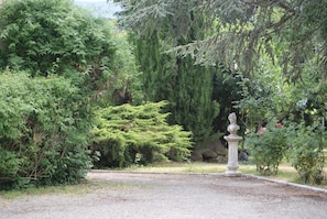 Eksteriør
