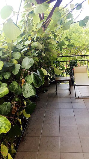 Apartment | Terrace/patio
