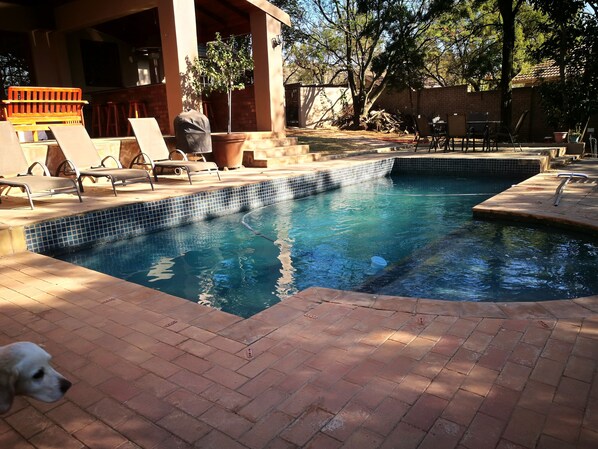 Outdoor pool, pool loungers