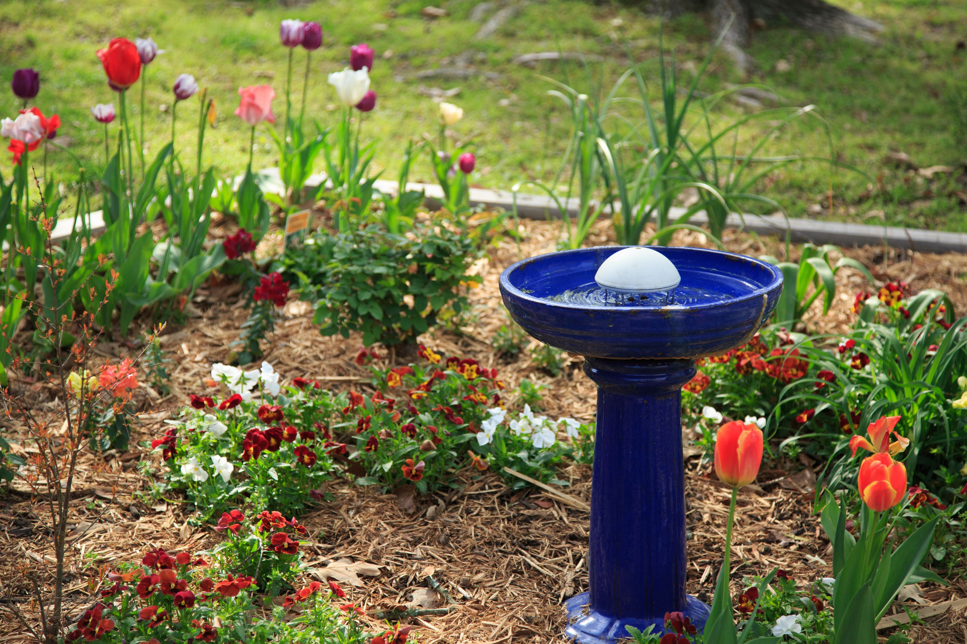 A garden with a blue birdbath surrounded by various flowers and plants.