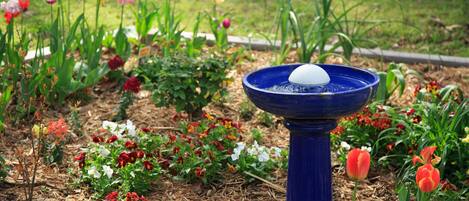 A garden with a blue birdbath surrounded by various flowers and plants.