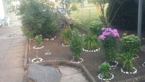 Un jardín con diversas plantas y una gran roca.