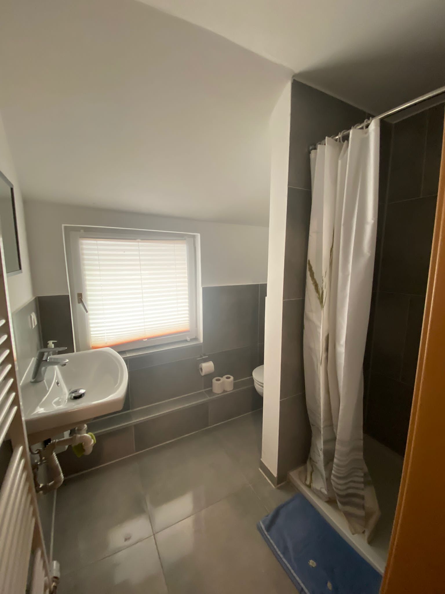 Shower, towels