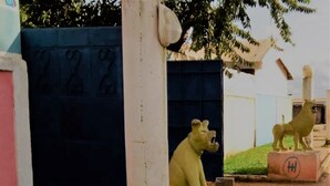 A lion statue in a courtyard with a blue gate and a building in the background.