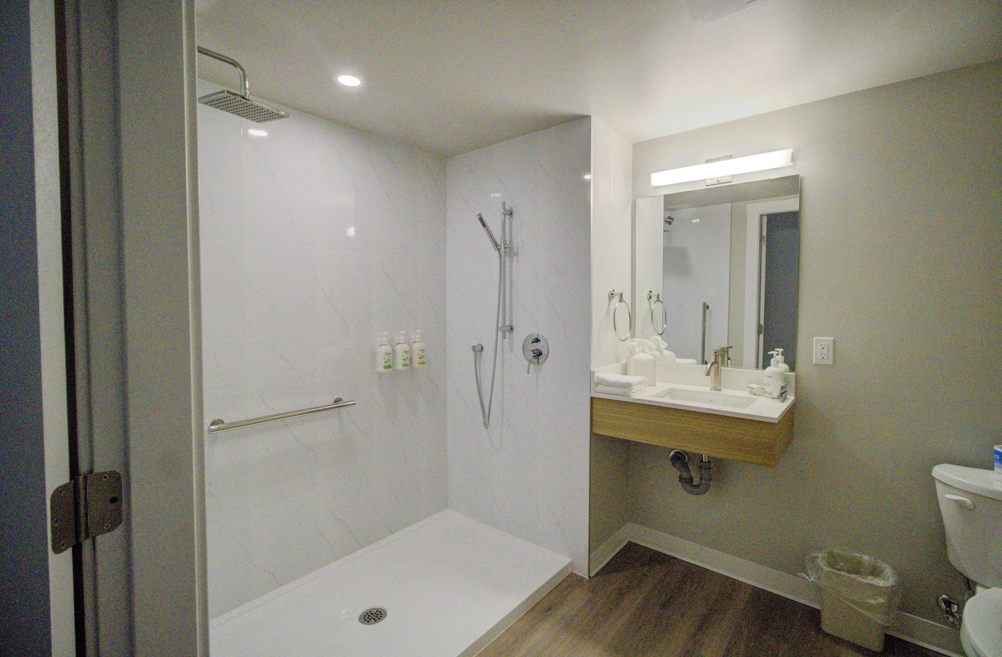 Room, 1 Queen Bed, Accessible, Non Smoking (Mobility, Roll-in Shower) | Bathroom