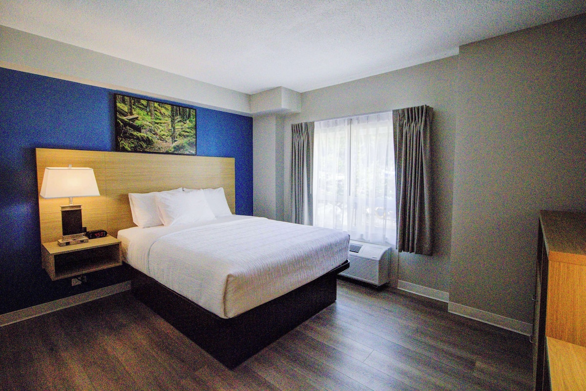 A hotel room with a bed, bedside table, lamp, air conditioning unit, and a window with curtains.