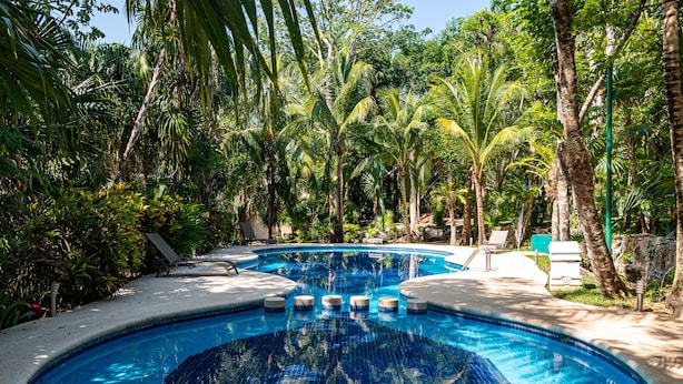 A swimming pool surrounded by lush greenery and palm trees. - Condo Santuario by Playa Paradise (Playa del Carmen)