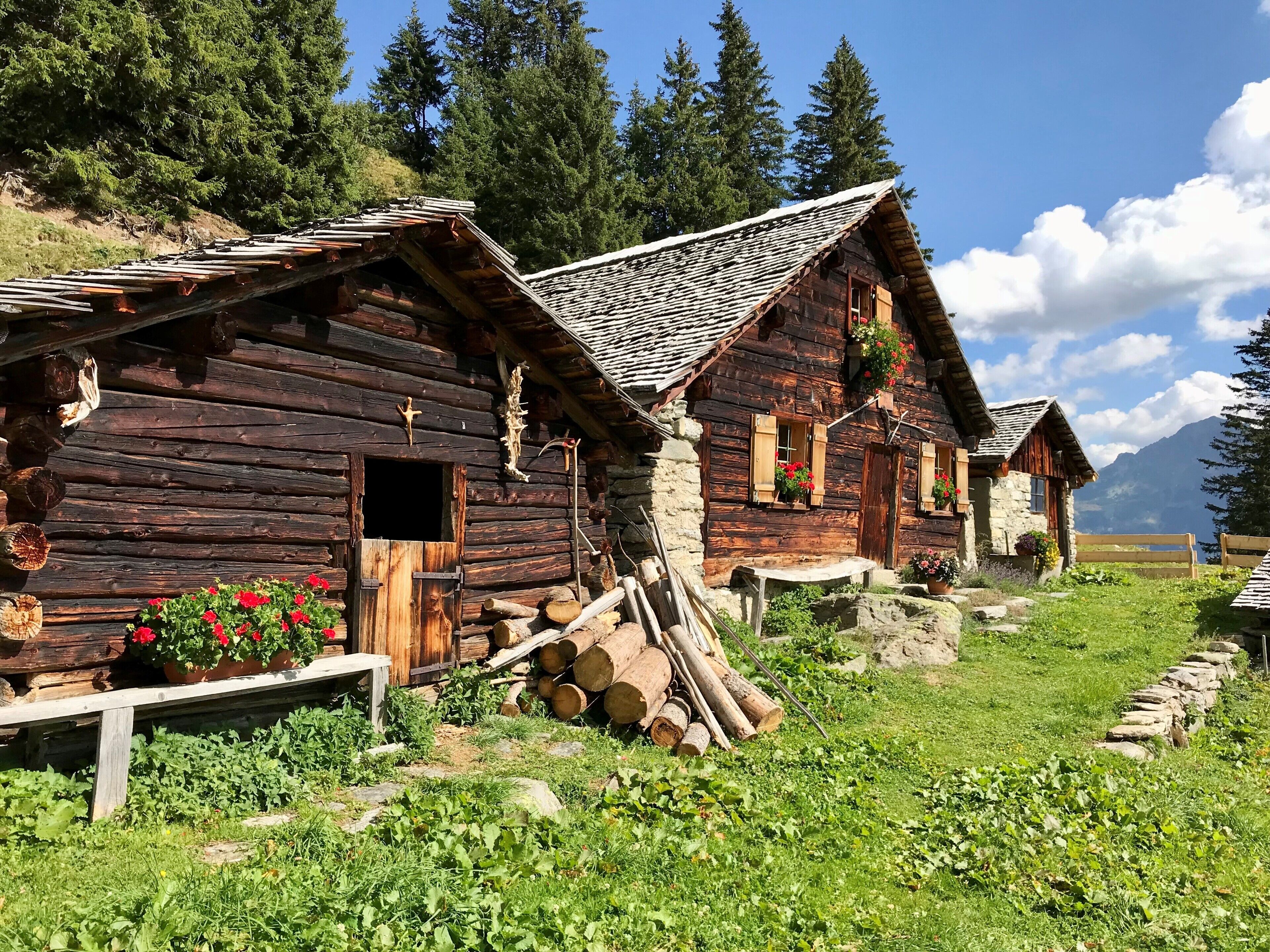 Wandern