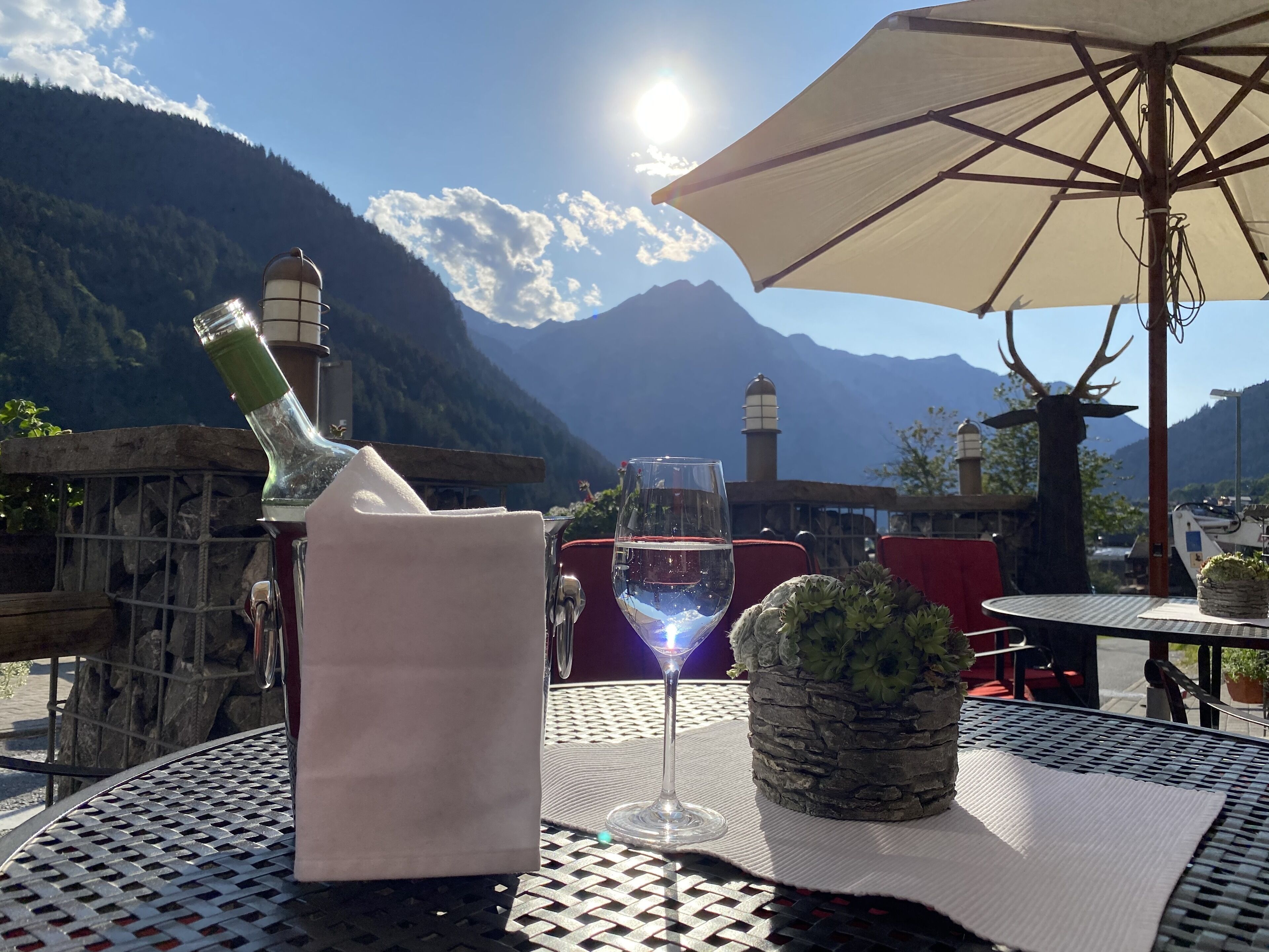 A table with a bottle, a glass of wine, and a potted plant, set against a mountainous backdrop.