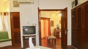 A room with a television on a wooden stand, a patterned rug, a green sofa, and a wooden door.