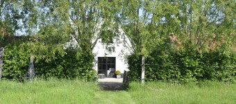 Stee23