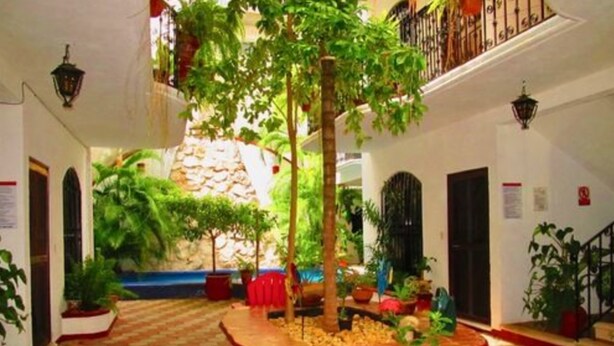 Un patio con suelo de baldosas, plantas en macetas y un macetero central con un árbol.