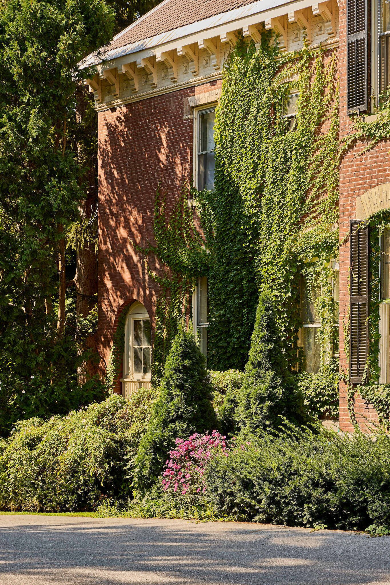 Foto - Blind Tiger Burlington