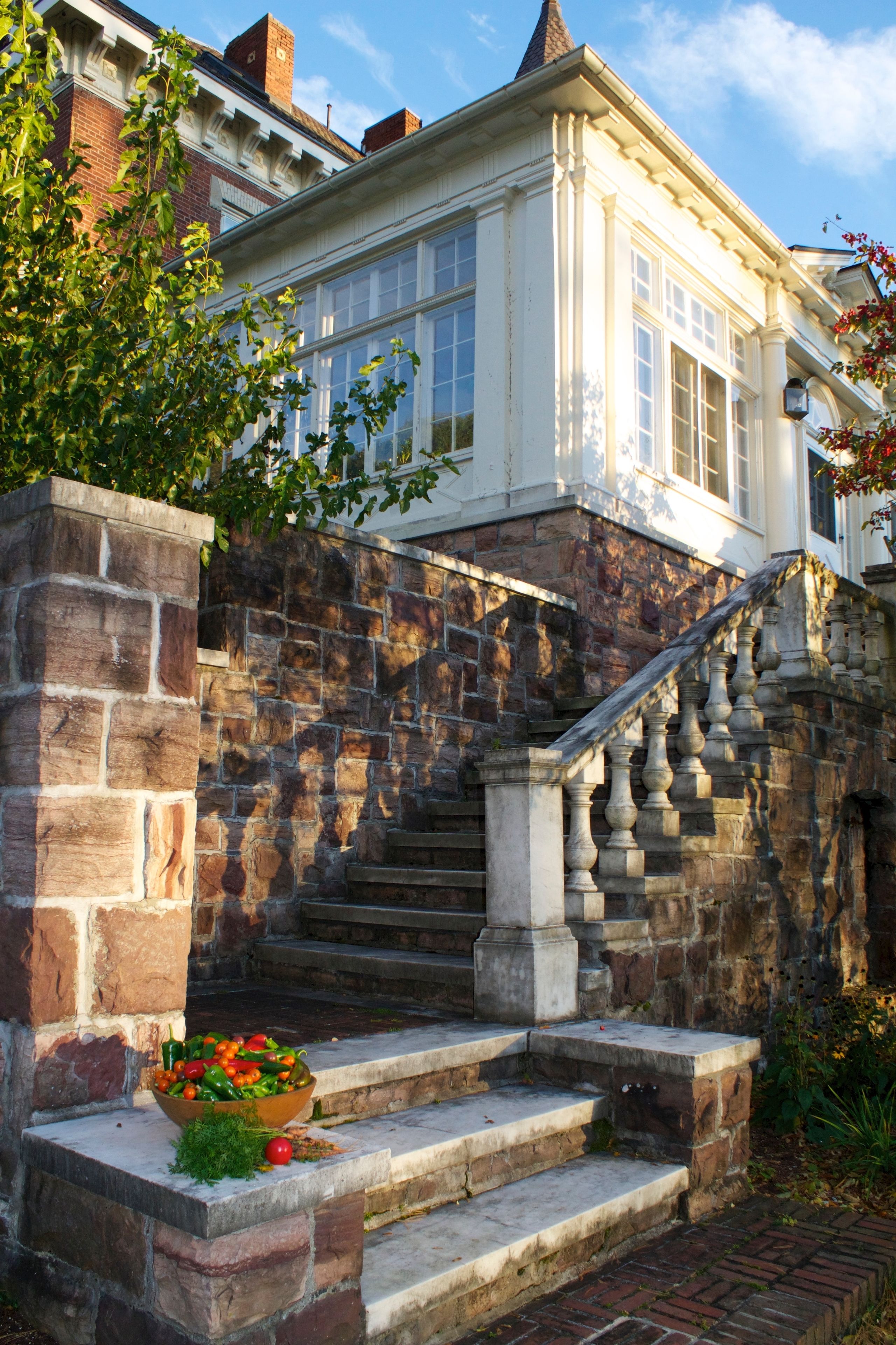 Foto - Blind Tiger Burlington