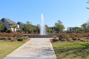Property grounds - Paget 403 Features Oceanside Views of Pool & Clubhouse (Pawleys Island)