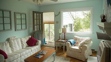 TV connectée, cheminée, lecteur de DVD, livres