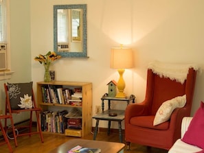 TV connectée, cheminée, lecteur de DVD, livres