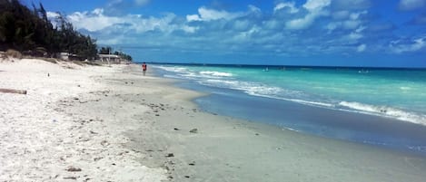 Playa en los alrededores