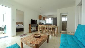 Flachbildfernseher, Musikbibliothek, Videothek