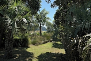 Property grounds - Boutique Apartment with Sea Views (Bure 2 - Wai) (Hot Water Beach)
