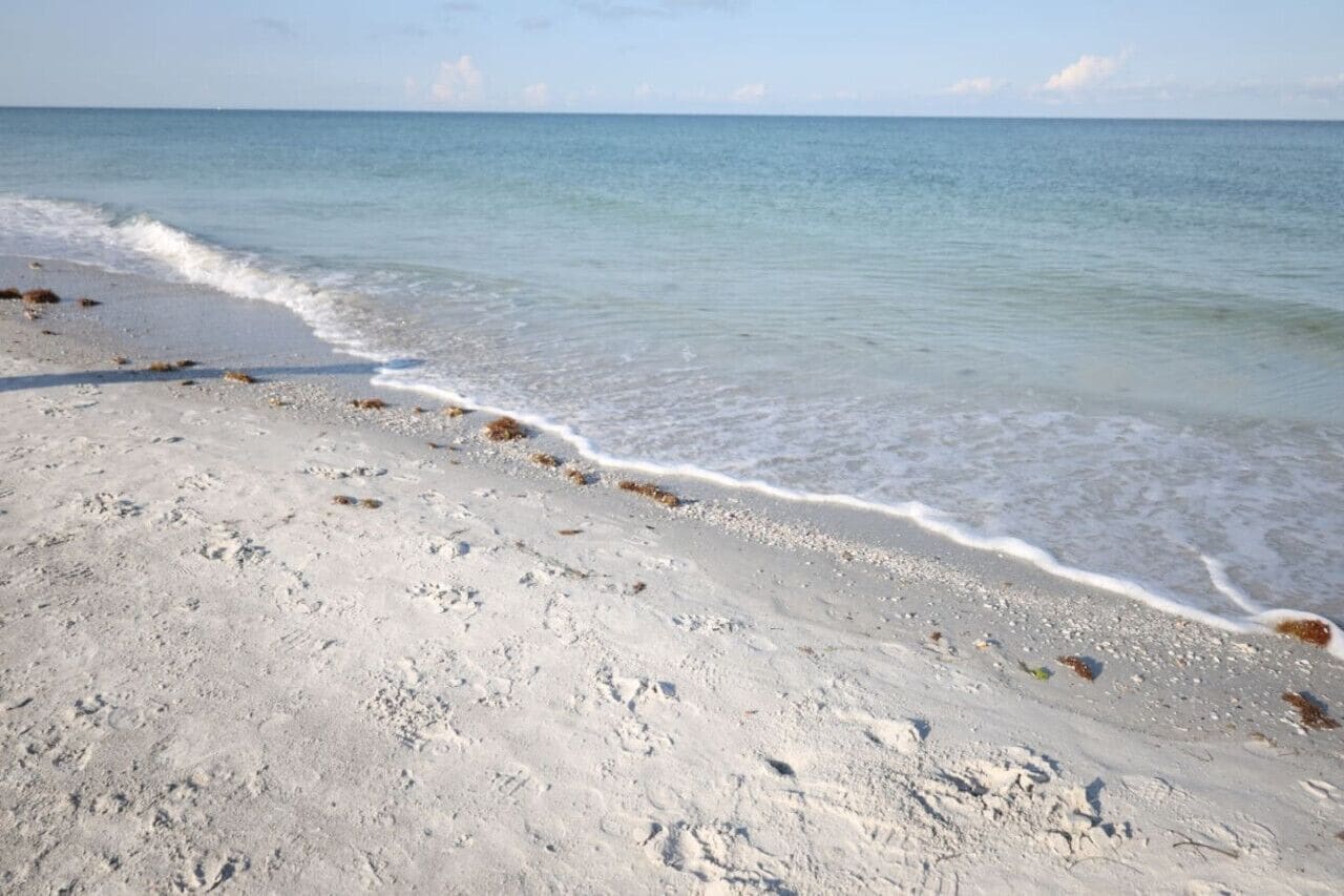 Playa en los alrededores 