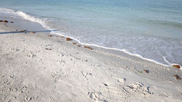 A beach with clear water and a sandy shore.