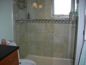 Combined shower/tub, hair dryer, towels