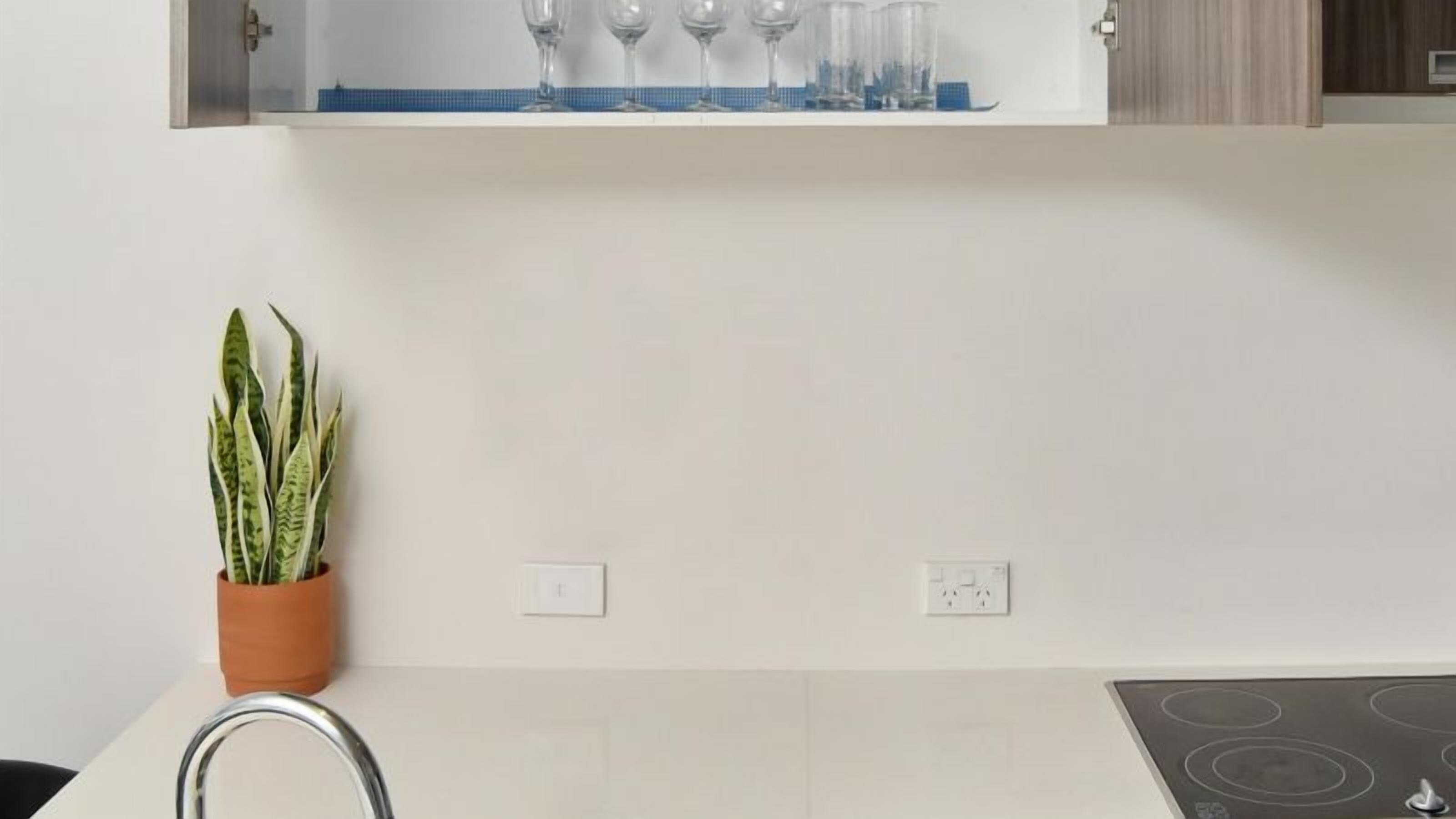Una cocina con salpicadero blanco, una planta en maceta y una estufa.