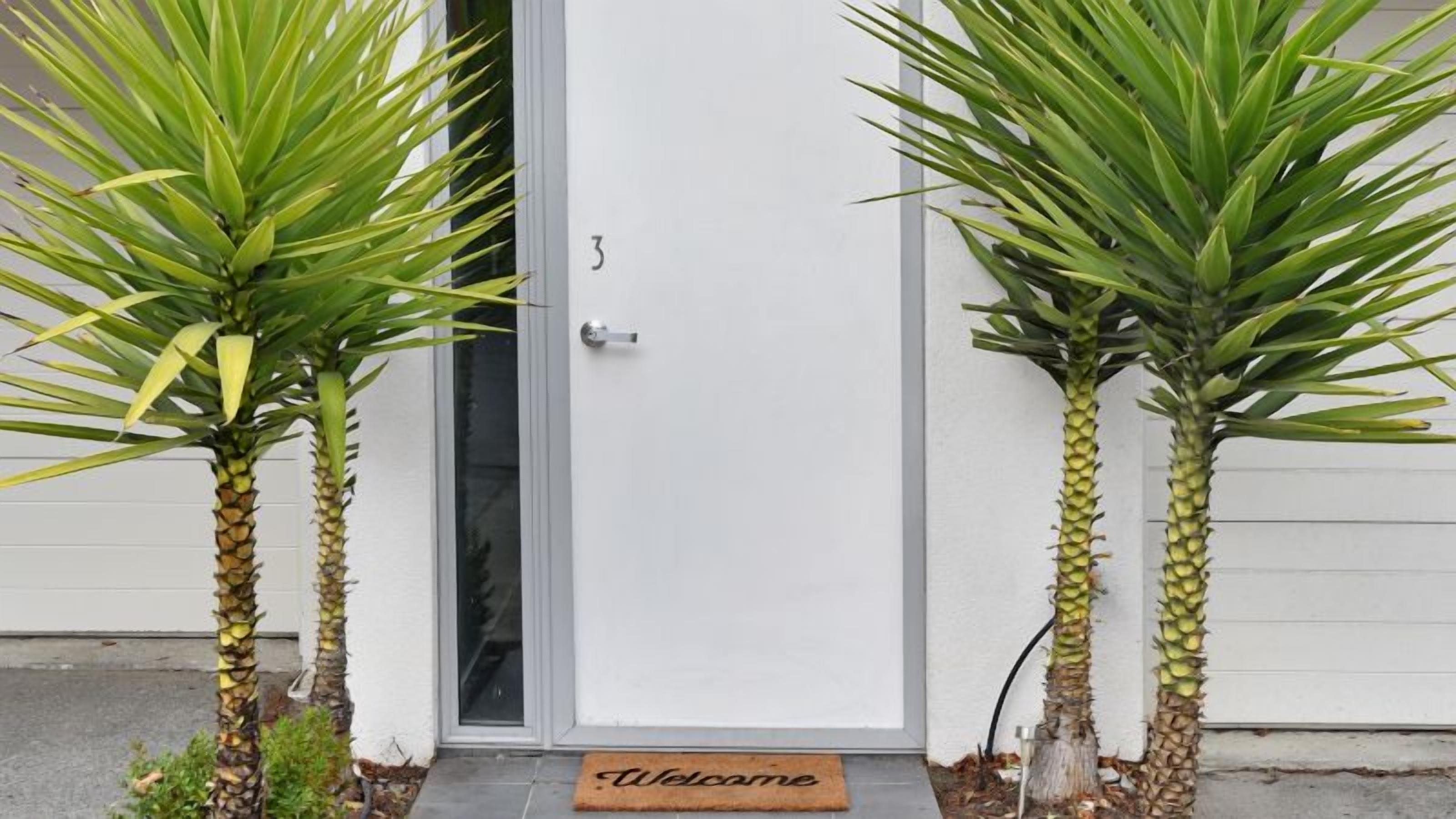 Une entrée de maison avec un paillasson sur lequel est écrit « Bienvenue », une porte et deux palmiers.