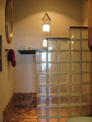 Combined shower/bathtub, jetted bath, hair dryer, towels