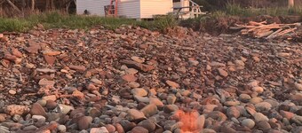 Oceanfront Sunset Cottage with Kayaks 