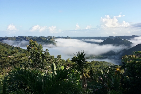 Mist over the lake. Usually in the morning but not every day.
