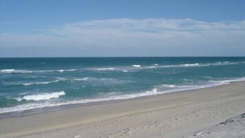 Playa en los alrededores y camastros
