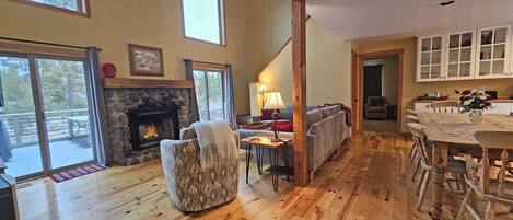 Televisión, chimenea y reproductor de DVD