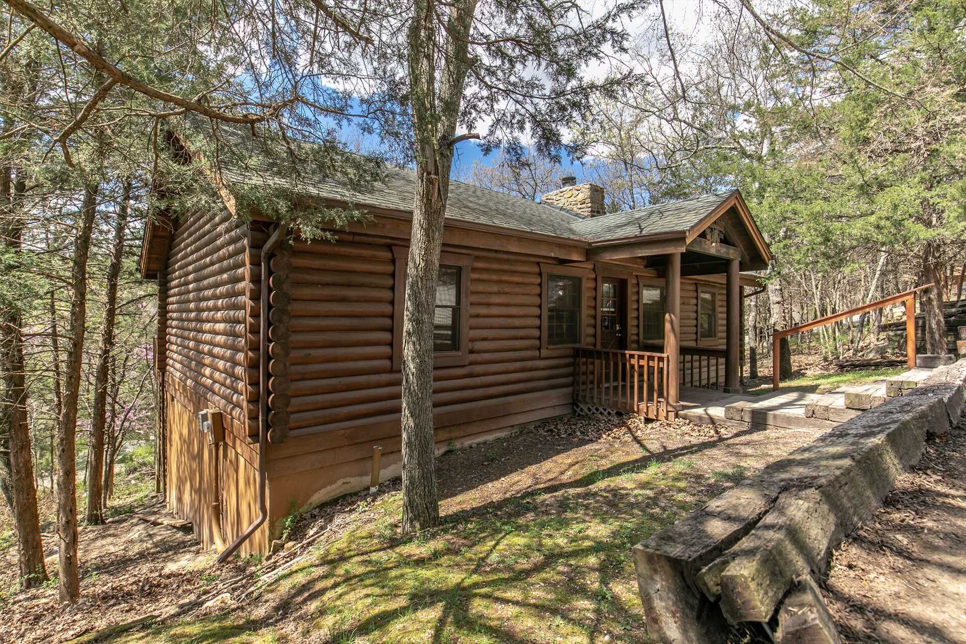 Branson Woods Cabin with Screened Porch, Indoor/Outdoor Pools! King Beds | 166