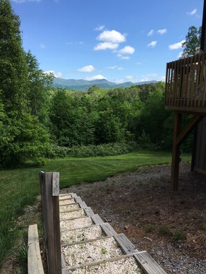 Property grounds - Gorgeous Mountain View, Duplex B, Dog Friendly, Fresh New Look (Asheville)