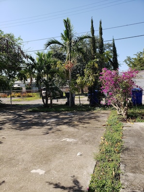 Property grounds - LOVELY 1 BED 1 BATH APARTMENT IN HOLLYWOOD FLORIDA (Hollywood)