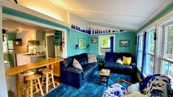 Smart TV, fireplace, books