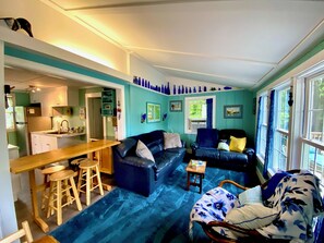 Smart TV, fireplace, books